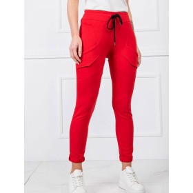 Pantalon survêtement model 166221 BFG