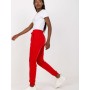Pantalon survêtement model 169723 BFG