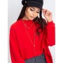 Sweatshirt model 169760 BFG