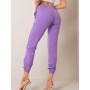 Pantalon survêtement model 169767 BFG
