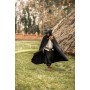CAPES MÉDIÉVAUX & VIKINGS POUR HOMMES