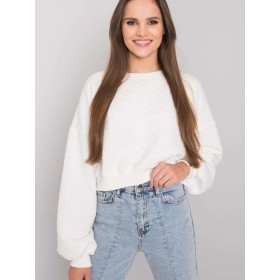 Sweatshirt model 169774 BFG