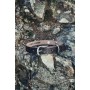 Set Hundeleine "Ferris" + Halsband "Maddox" Dunkelbraun