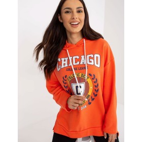 Sweatshirt model 172669 Fancy