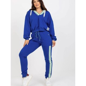 L`ensemble model 172723 Relevance