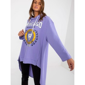 Sweatshirt model 174713 Fancy