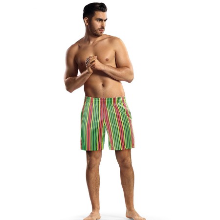 Slip de bain model 182806 Lorin