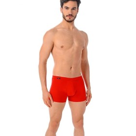 Boxeur model 182976 Teyli