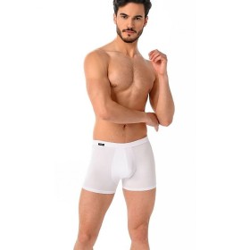 Boxeur model 182978 Teyli