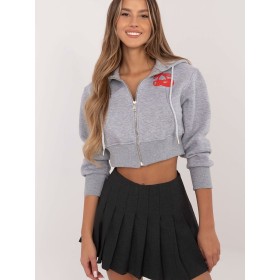 Sweatshirt model 204411 Factory Price