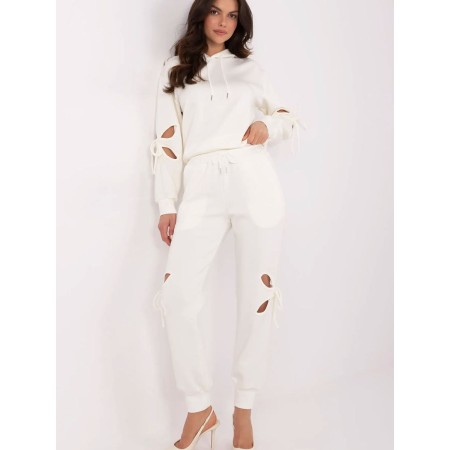 L`ensemble model 210123 NM