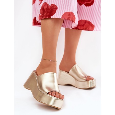Clacquettes model 211013 Step in style