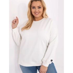 Sweatshirt model 211733 Relevance